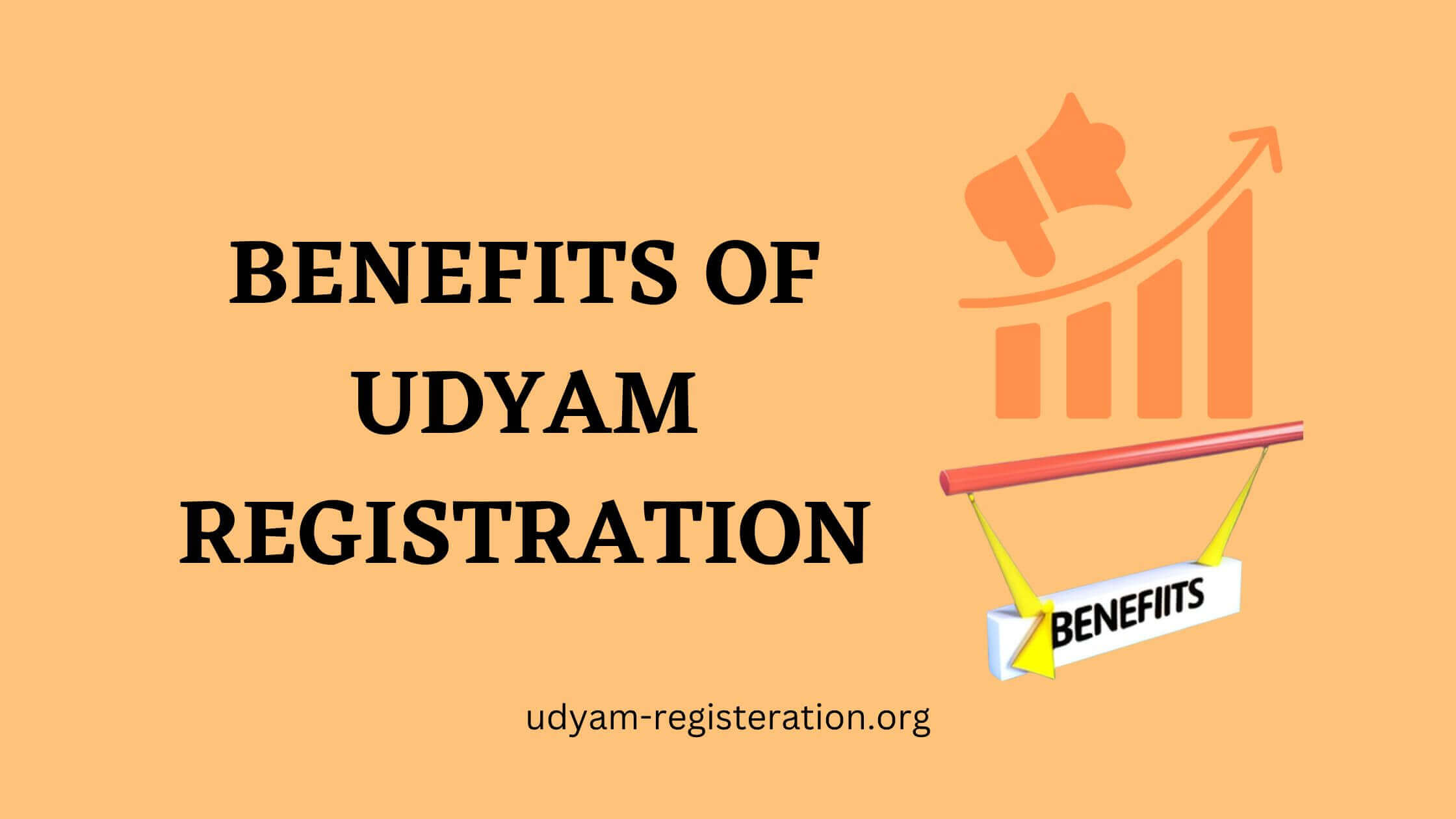 Benefits of MSME Udyam Registration